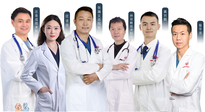 南方双彩(中国游)有限公司官网