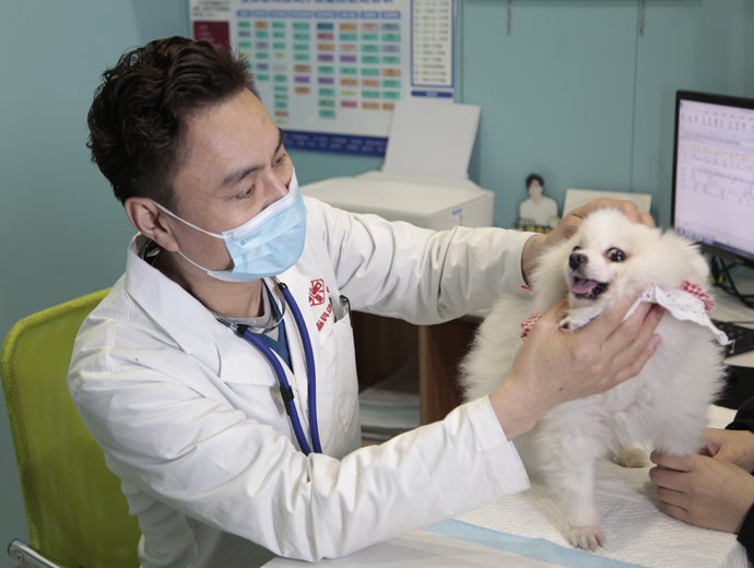 南方双彩(中国游)有限公司官网