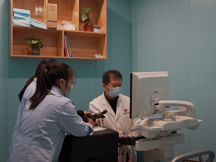 南方双彩(中国游)有限公司官网