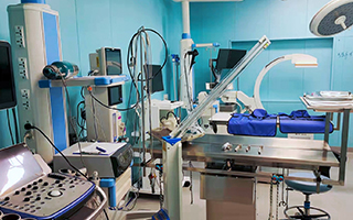 南方双彩动物医院：善待每个小生命，，，，，做有温度的守护者